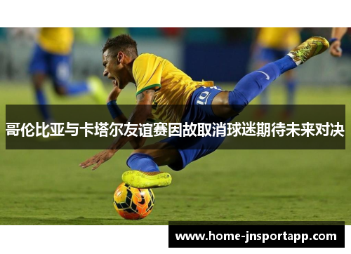 哥伦比亚与卡塔尔友谊赛因故取消球迷期待未来对决